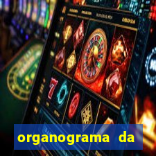 organograma da cacau show